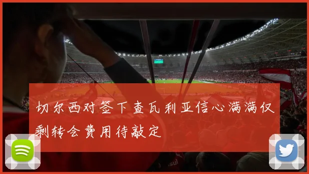 切尔西对签下查瓦利亚信心满满仅剩转会费用待敲定